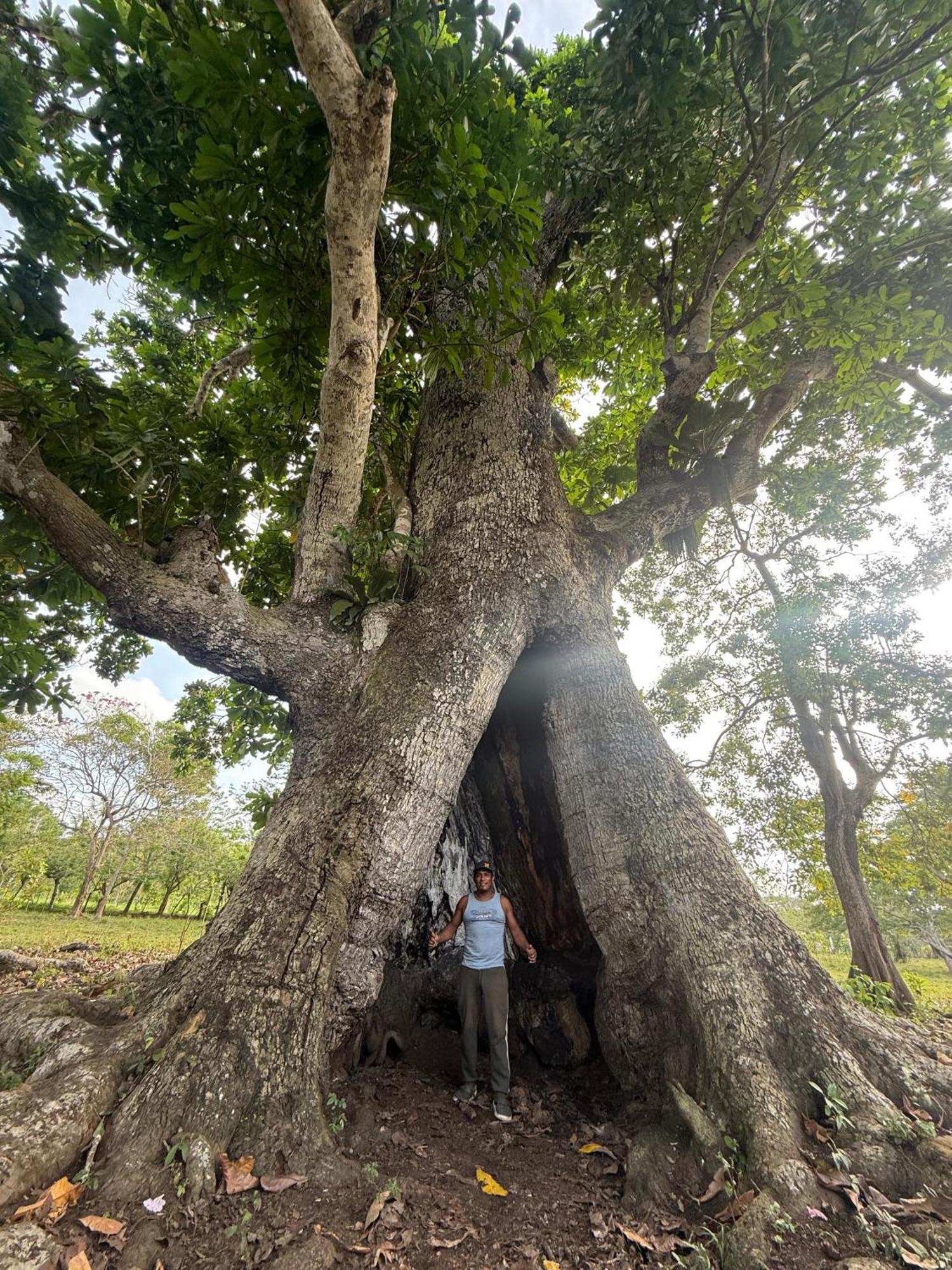 Las Cabanas De Mario เนโคคลิ ภายนอก รูปภาพ